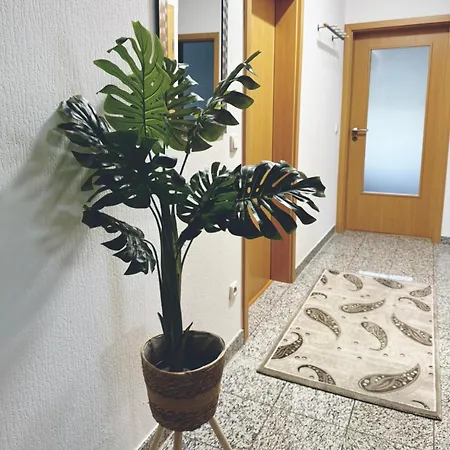Appartement Zentrale Grosse Vollausgestattete Fuer Alle Zwecke Perfekt Geeignet