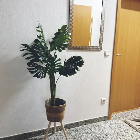 Appartement Zentrale Grosse Vollausgestattete Fuer Alle Zwecke Perfekt Geeignet *