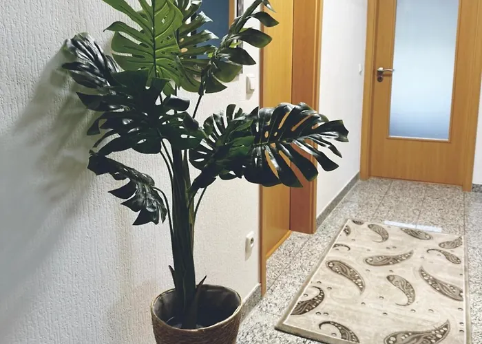 Lejlighed Zentrale Grosse Vollausgestattete Fuer Alle Zwecke Perfekt Geeignet