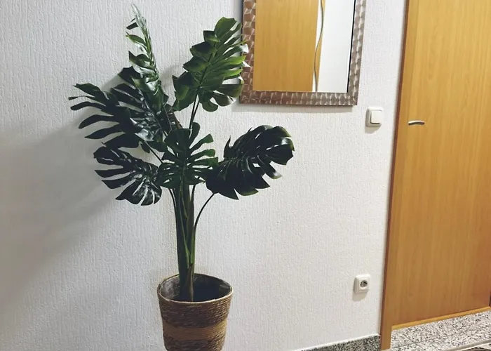 Lejlighed Zentrale Grosse Vollausgestattete Fuer Alle Zwecke Perfekt Geeignet *